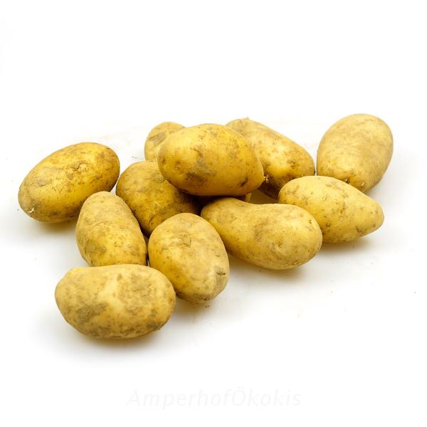 Produktfoto zu Kartoffeln festkochend Sorte Antonia 2kg