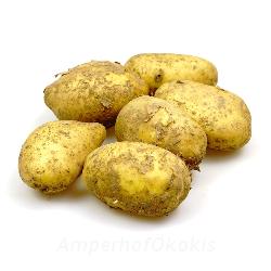 Kartoffeln vorw. festkochend Sorte Otolia 2kg