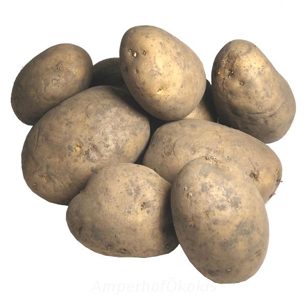 Produktfoto zu Kartoffeln XXL Sorte Jelly 2kg