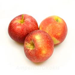Äpfel wechselnde Apfelsorte
