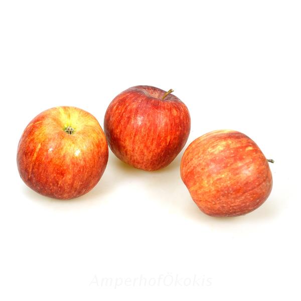Produktfoto zu Äpfel ca, 5 kg wechselnde Apfelsorte