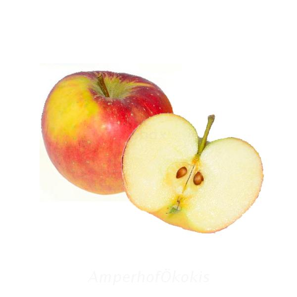 Produktfoto zu Äpfel Topaz 5kg