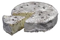 Schafsweichkäse Berta Rosm.-Wacholder