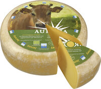 Aurora Gold Gouda Jersey