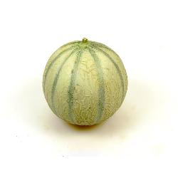 Cantaloupe Melone ca. 500gr+