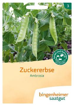 Zuckererbse Ambrosia,  SAATGUT