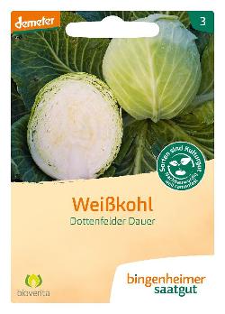 Weißkohl Dottenfelder SAATGUT