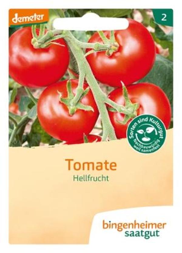 Produktfoto zu Tomate, Hellfrucht SAATGUT