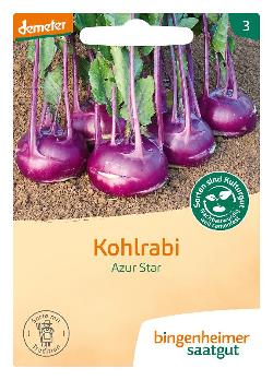 Kohlrabi blau, Azur Star SAATGUT