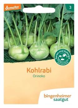 Kohlrabi weiß Orinoko SAATGUT