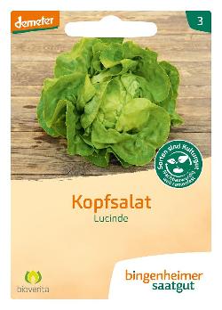 Kopfsalat Lucinde SAATGUT