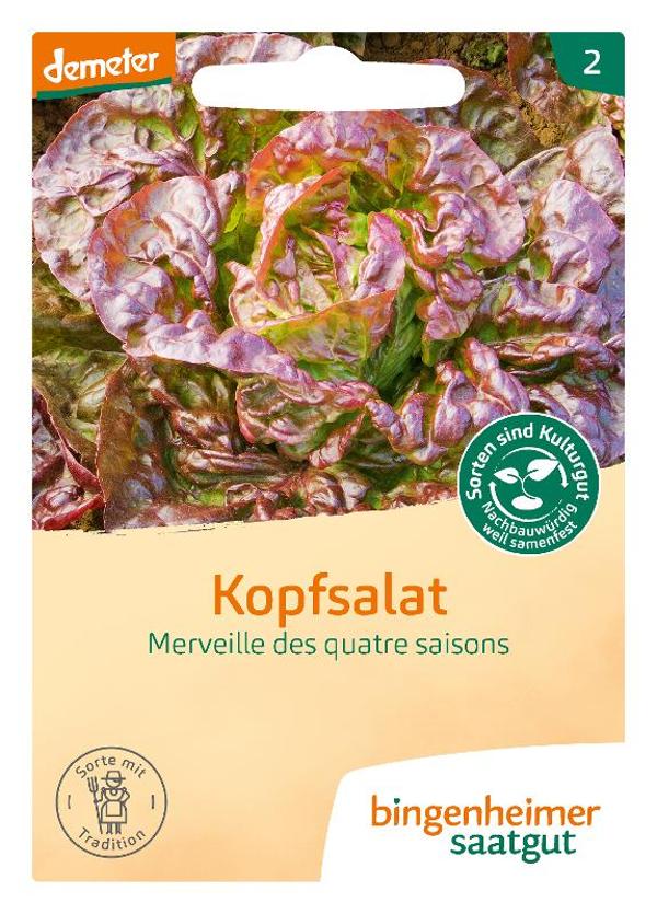 Produktfoto zu Kopfsalat, Merveile des quatre saisons SAATGUT