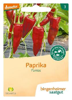 Paprika Pantos SAATGUT