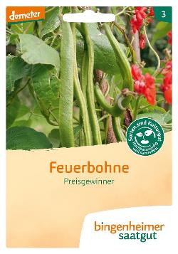 Feuerbohne Preisgewinner SAATGUT