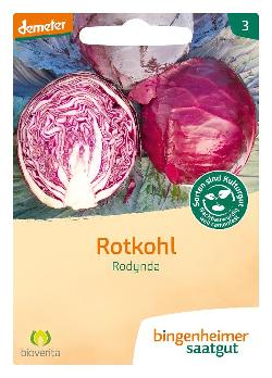 Rotkohl Rodynda SAATGUT