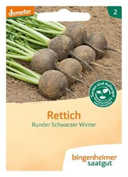 Rettich Scharzer Winter SAATGUT