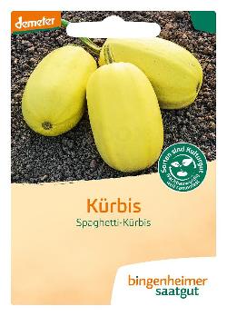 Spghetti-Kürbis  SAATGUT