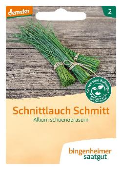 Schnittlauch mittelgroß SAATGUT