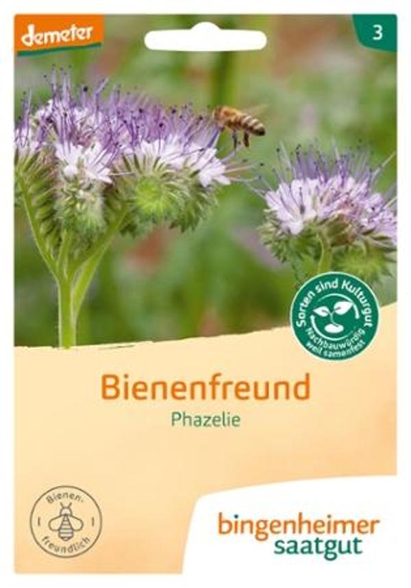 Produktfoto zu Phacelia, Gründüngung und Bienenweide. SAATGUT