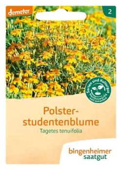 Tagetes (Polsterstudentenblume) SAATGUT