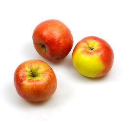 Aloisius' Äpfel 1. Sorte