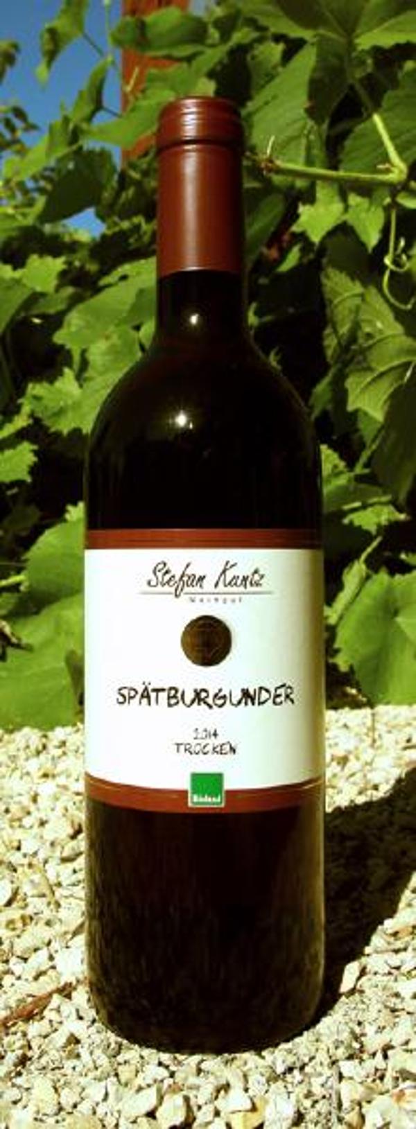 Produktfoto zu Spätburgunder, trocken 0,7ltr, Weingut Kuntz, Pfalz, QbA