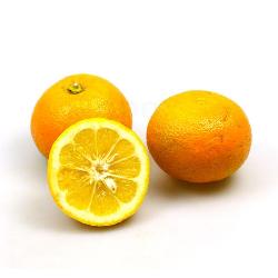 Bitter-Orangen