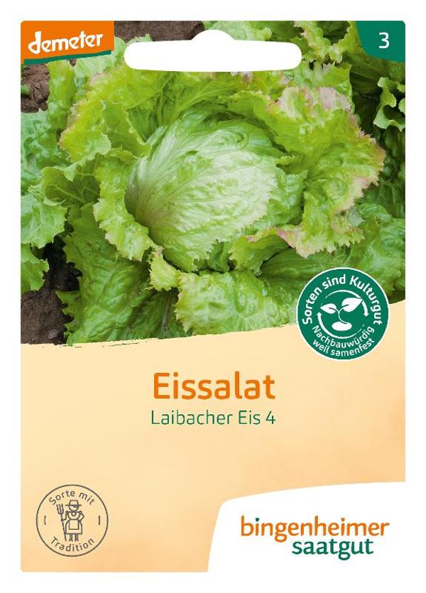 Produktfoto zu Eissalat Laibacher SAATGUT