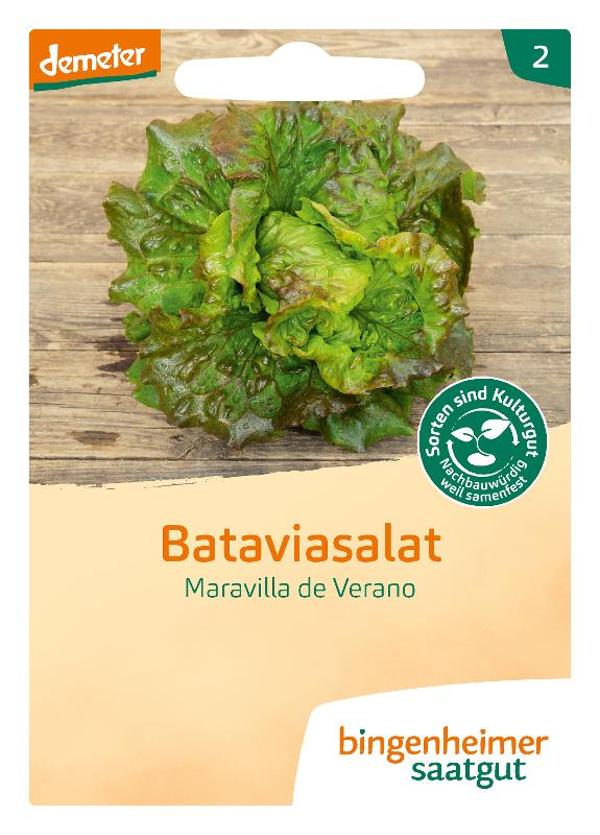 Produktfoto zu Bataviasalat - Maravilla de Verano SAATGUT