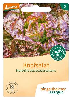 Kopfsalat, Merveile des quatre saisons SAATGUT