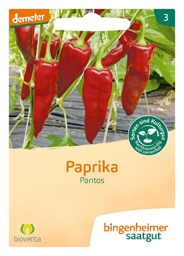 Produktfoto zu Paprika Pantos SAATGUT