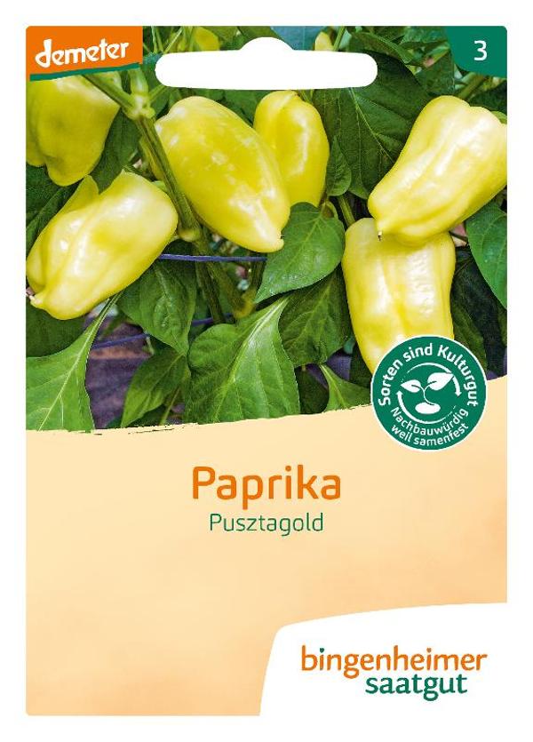 Produktfoto zu Paprika Pusztagold SAATGUT