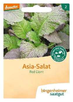 Asia Salat Red Giant SAATGUT