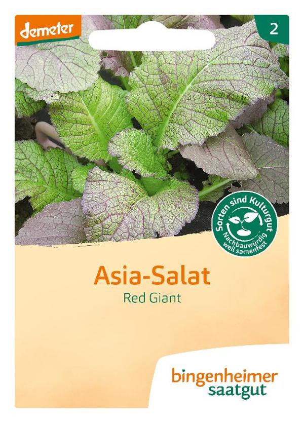 Produktfoto zu Asia Salat Red Giant SAATGUT