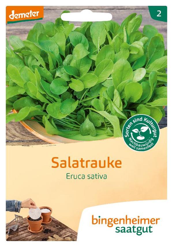 Produktfoto zu Salatrauke SAATSCHEIBEN