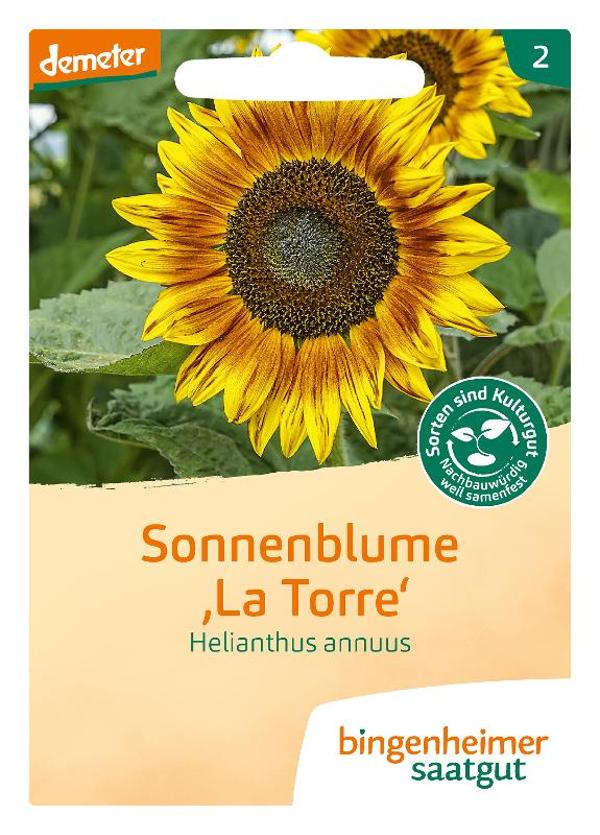 Produktfoto zu Sonnenblume "La Torre" SAATGUT