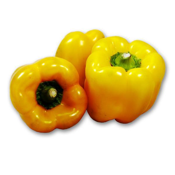 Produktfoto zu Regionale gelbe Paprika aus Venlo
