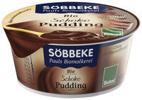 Bio Pudding Schoko