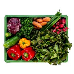 Gemüse mit Salat
