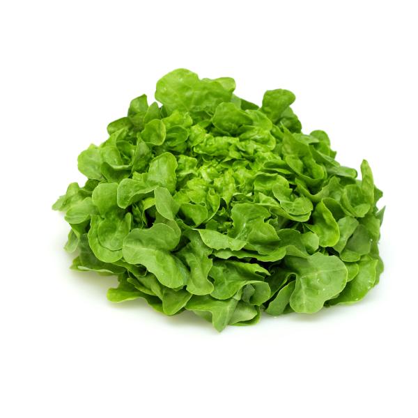 Produktfoto zu Salat Eichblatt grün Regio