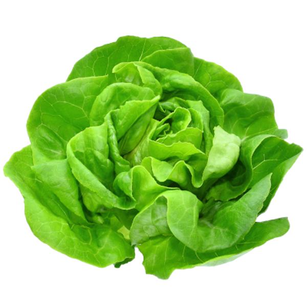 Produktfoto zu Kopfsalat grün