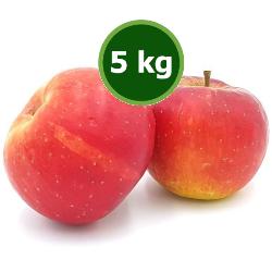 Apfel 5kg Topaz