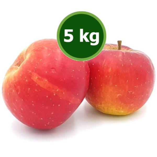 Produktfoto zu Apfel 5kg Topaz