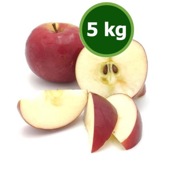 Produktfoto zu Apfel 5kg Idared