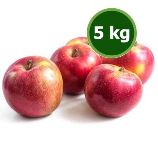 Produktfoto zu Apfel 5kg Natyra