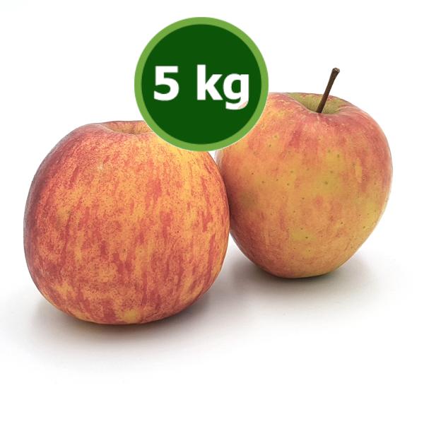 Produktfoto zu Apfel 5kg Jonagored