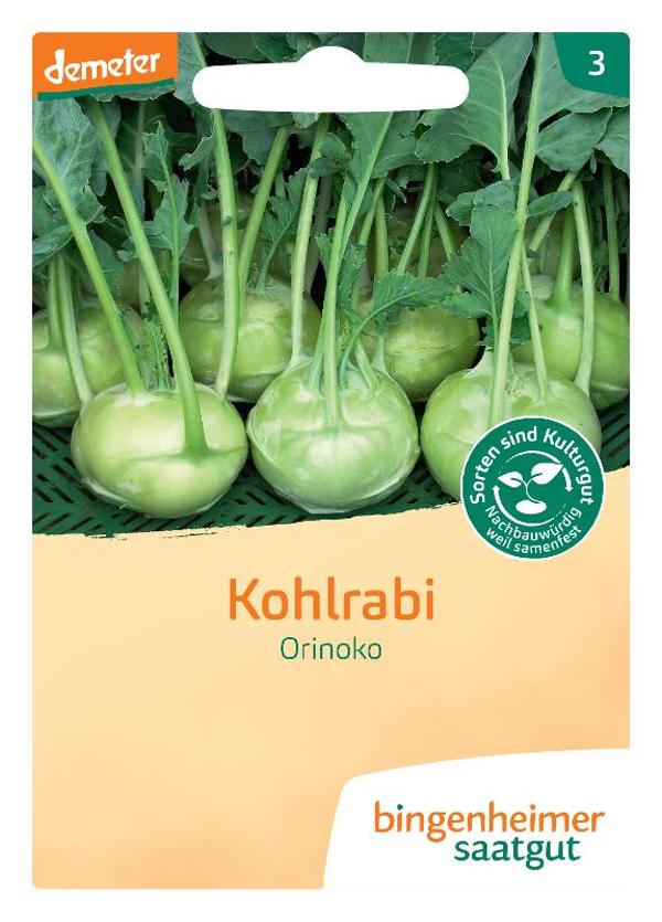 Produktfoto zu Saatgut Kohlrabi weiß Orinoko