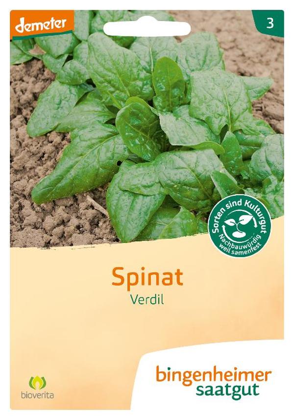 Produktfoto zu Saatgut Spinat Verdil