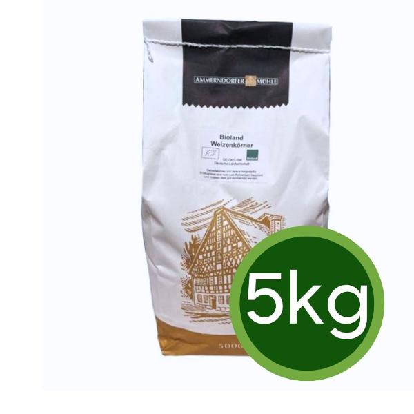 Produktfoto zu Weizen (Korn) 5 kg