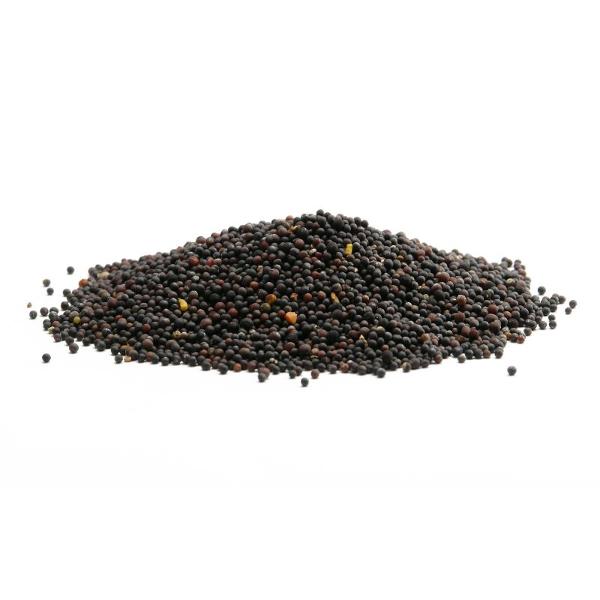 Produktfoto zu Senf schwarz, ganze Samen 1kg